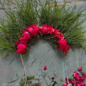 floristcollection 04