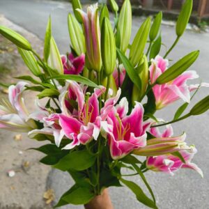 floristcollection 21